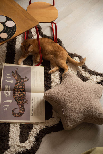 boucle star cushion by Bettys home with cat 